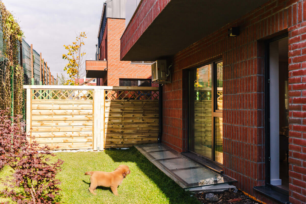 Aparthotel-Cluj-Cometei-Curte-1-caine